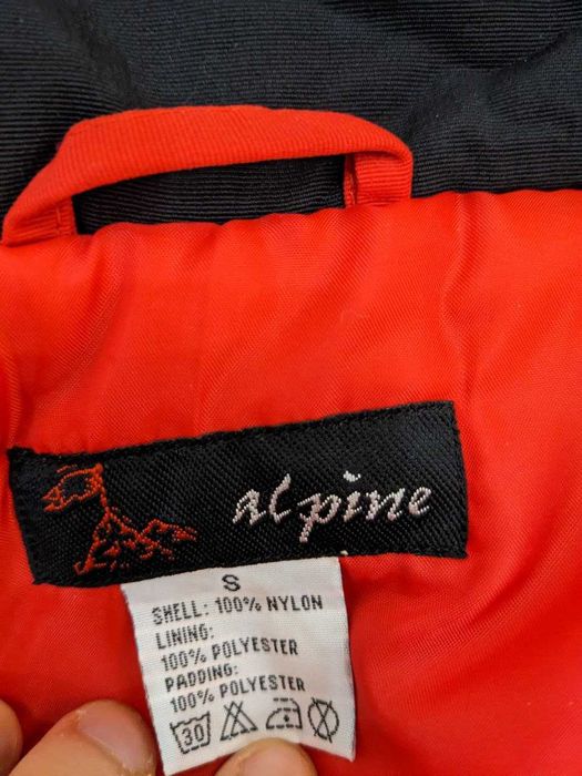 Лижна куртка Alpine