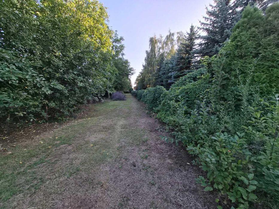 Zdjęcie 5