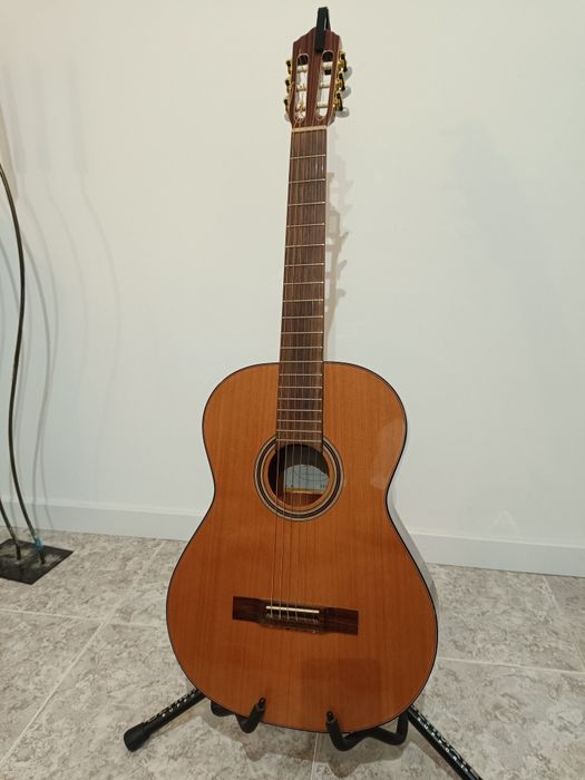Guitarra APC 8c bem estimada