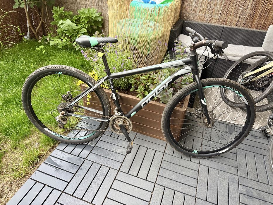 Rower Polar kola 29