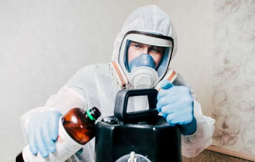 Обработка от тараканов профессиональная дезинфекция помещений