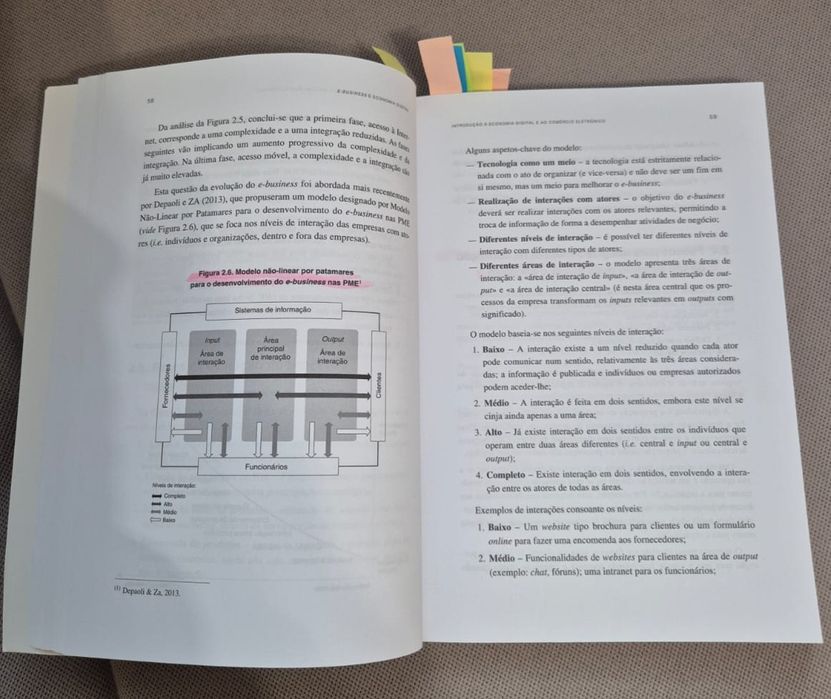 Livro "E-business e Economia Digital"