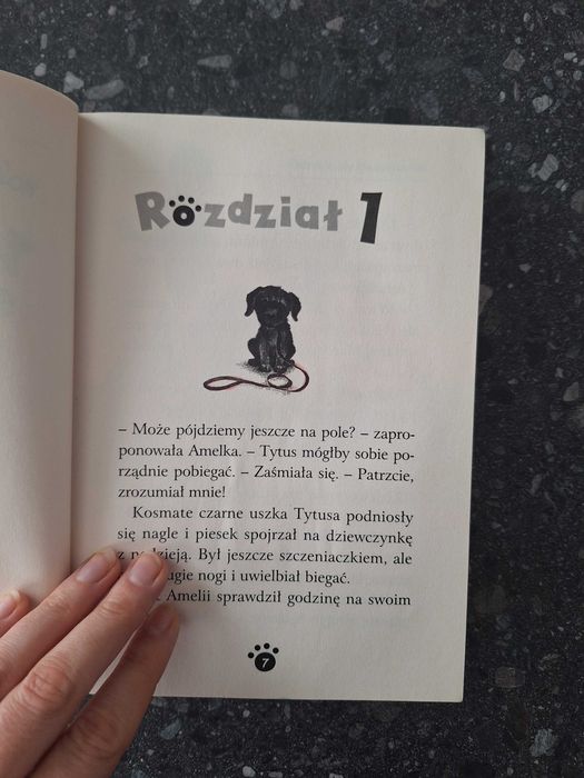 zaopiekuj się mną Holly Webb opowieści o pieskach