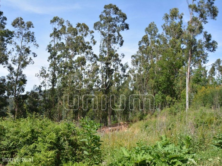 Land Plot in Vila Verde