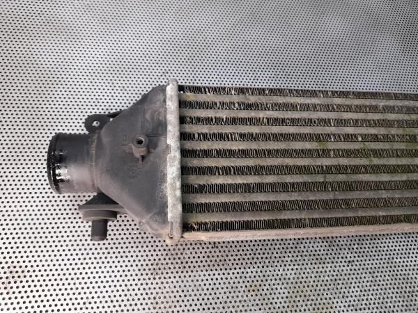 Radiador do intercooler FIAT Bravo II (198_)