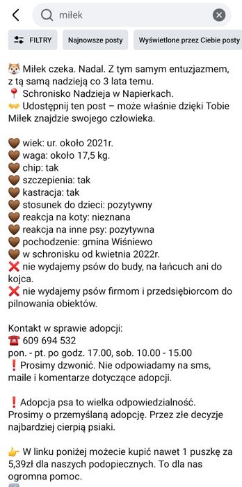 Miłek prosi o uwagę Schronisko Nadzieja Napierki