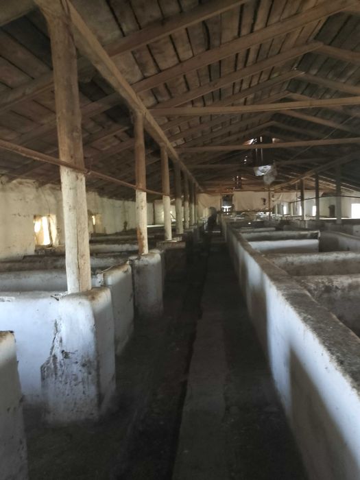 С/Х ферма(Свиноферма)