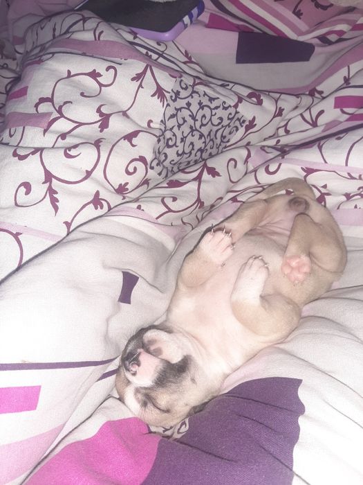 Только в хорошие руки