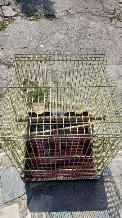 Gaiola para papagaio  usada em bom estado