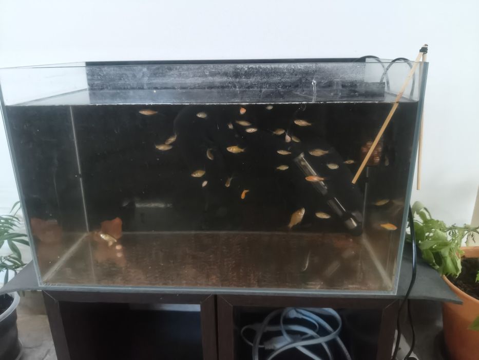 Vendo aquário em excelente estado