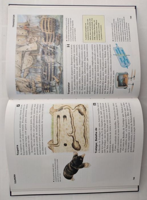 Enciclopédia escolar em 10 livros novos na caixa original