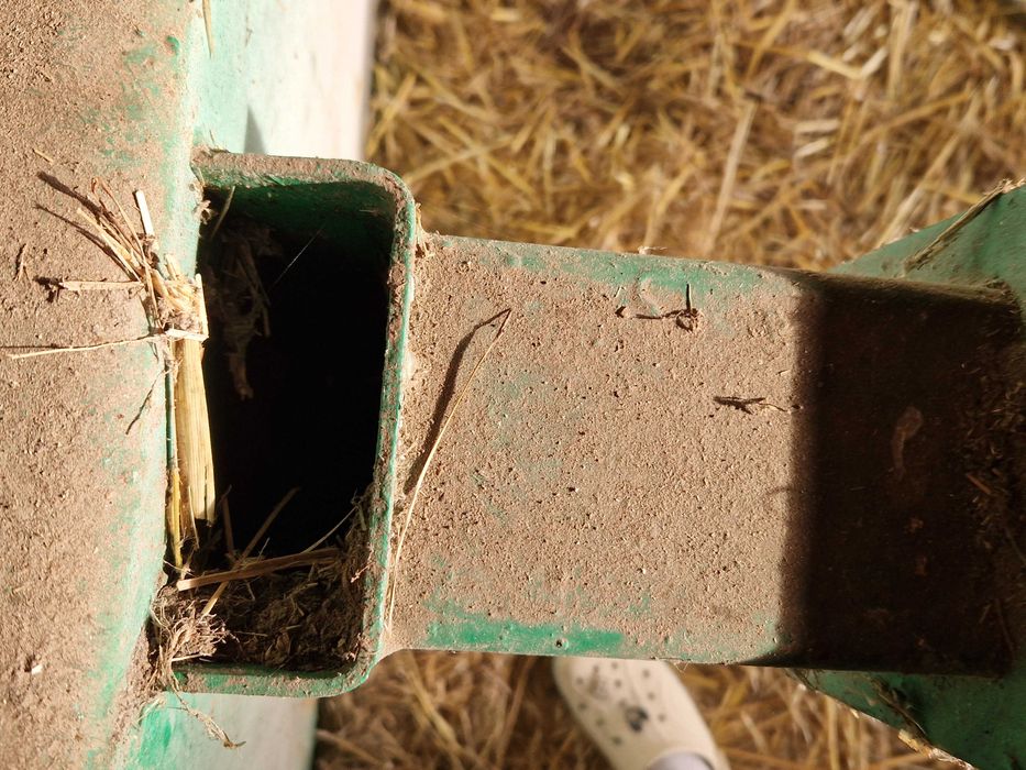 Koryto, Paśnik dla Bydła