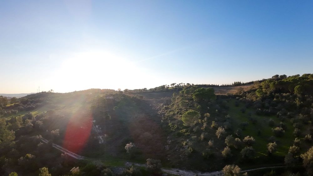 Terreno de 25 550 m2 com Vistas Deslumbrantes – Montemor-o-Velho