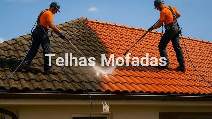 Telhados-  limpeza & manutenção Orçamentos Gratis
