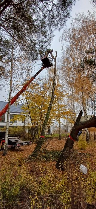 Podnosnik 20m, wycinka drzew, czyszczenie rynien, dachu. Mazowieckie.