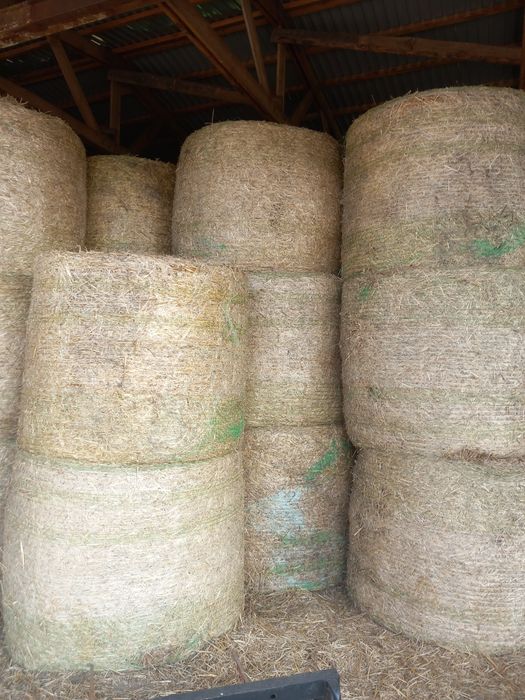 Słoma w balotach