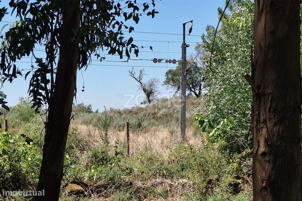 Ruína em Pedra, Palheiro escavado em pedras