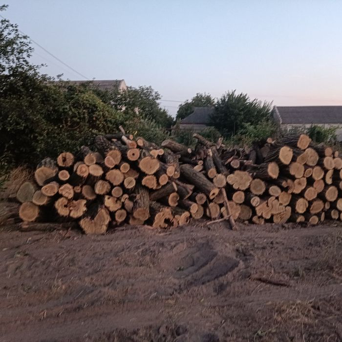 Тепло в Ваш дім. дрова акація