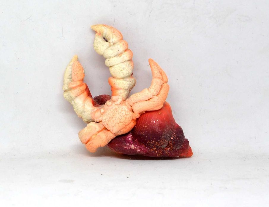 Magnes Na Lodówkę Krab Pustelnik