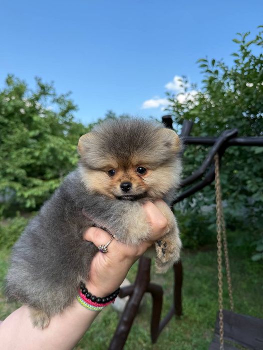 Крошка на ладошку