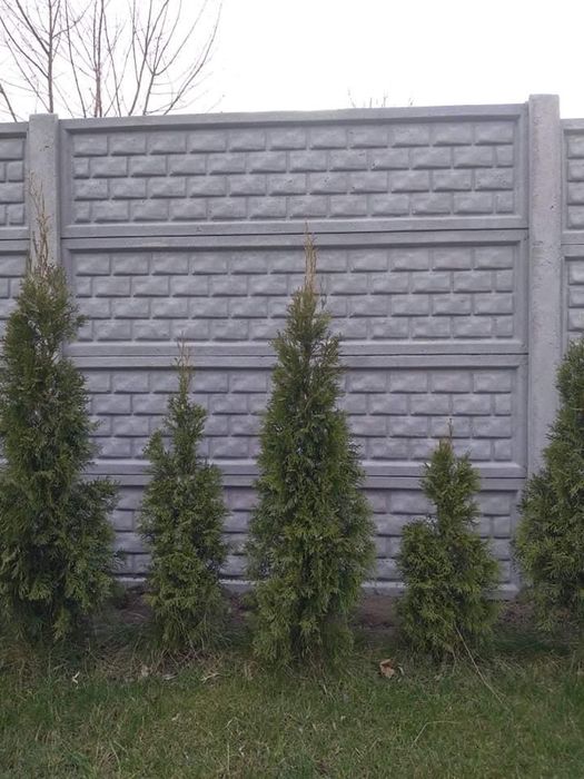 Ogrodzenia betonowe- sprzedaż ,montaż