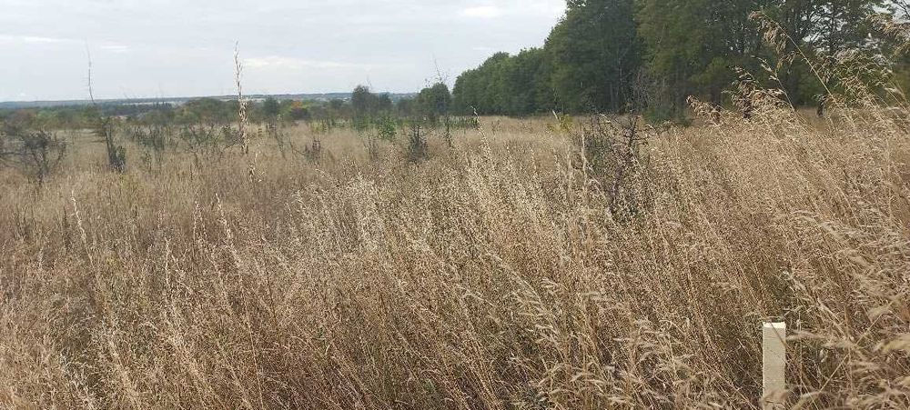 Продаж земельноі ділянки, 10 соток, під будівництво