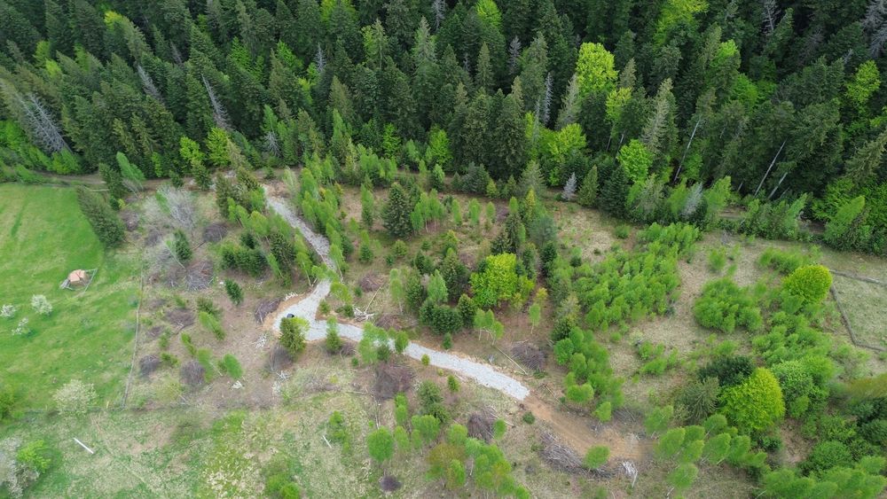 Ділянка в Карпатах Микуличин, земля в горах, земля в горах біля потічка, Ділянка в лісі, Ділянка в Микуличині