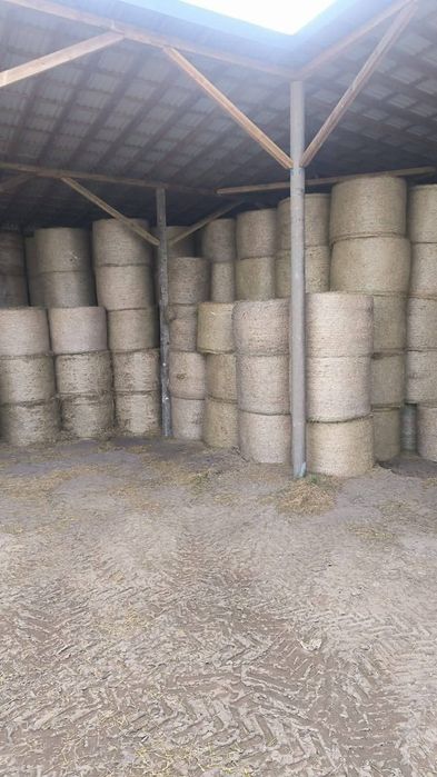 Słoma siano sianokiszonka kukurydza w belach szybka dostawa