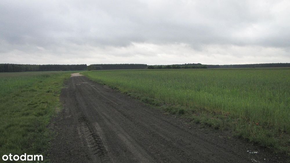 Sprzedam działkę w Daszewicach pod Poznaniem