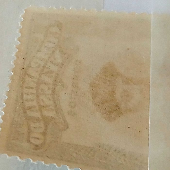 NYASSA denteado 13,5 e 15