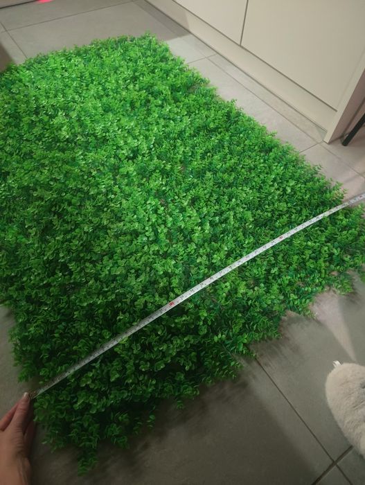 Panel dekoracyjny zielona ściana eukaliptus 40x60 razy 4