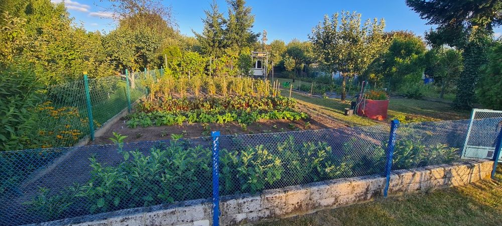 Sprzedam działkę ROD Ostrzeszów