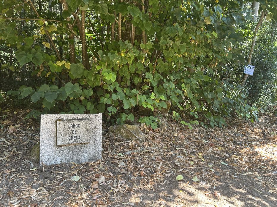 5 Terrenos à Venda em Vilar de Mouros, Caminha — 5.500 m²