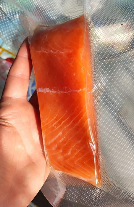 Вакууматор кухонный вакуумный упаковщик + 10 пакетов