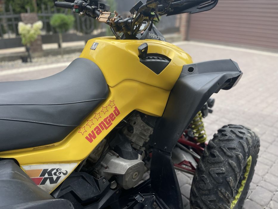 brp renegade 1000r