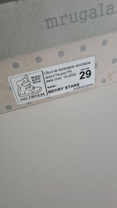 Śniegowce mrugała 29