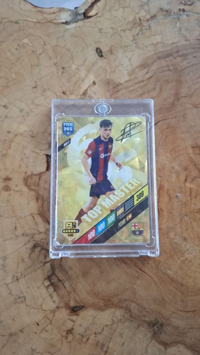 Karty panini fifa