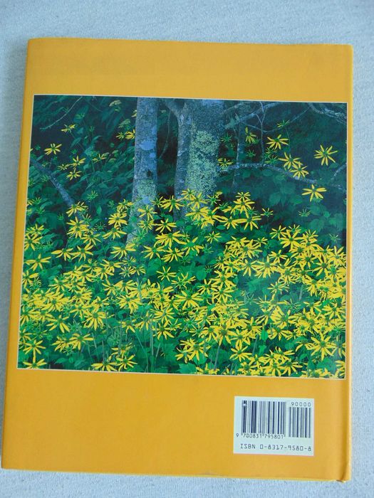 Album Wildflowers - Ann Reilly