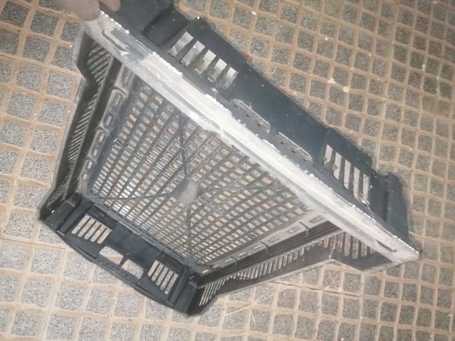 Caixas Plásticas Vazadas 60x40x10 cm – Ideais para Cogumelos, Frutos