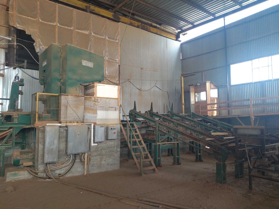 Вертикальна пилорама Primultini 1300