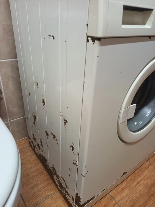 Пральна машина Bosch WFF 1200