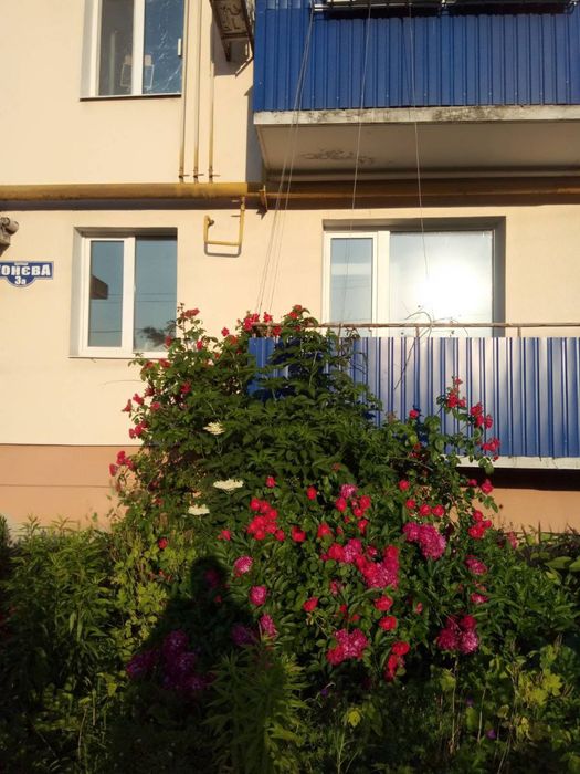 Від власника.  ЖД,  ЦЕНТР 3кімнатна  НОВОСТРОЙ річка поряд.