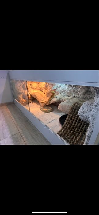 Terrarium