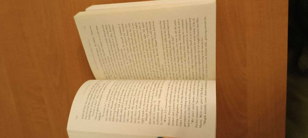 J.C.Maetis "The Vienna writers circle" (худ. літ-ра англійською мовою)