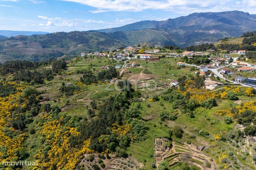 Terreno de 4437m2 com ruína, Santa Marta de Penaguião, Douro