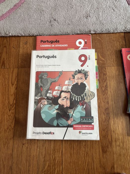 Livros Escolares 9 ano