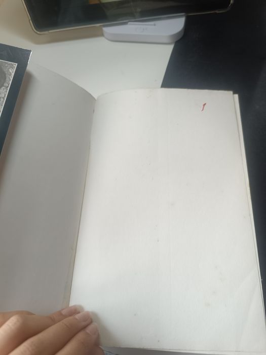 Em busca da Alma Gêmea de Thomas Moore