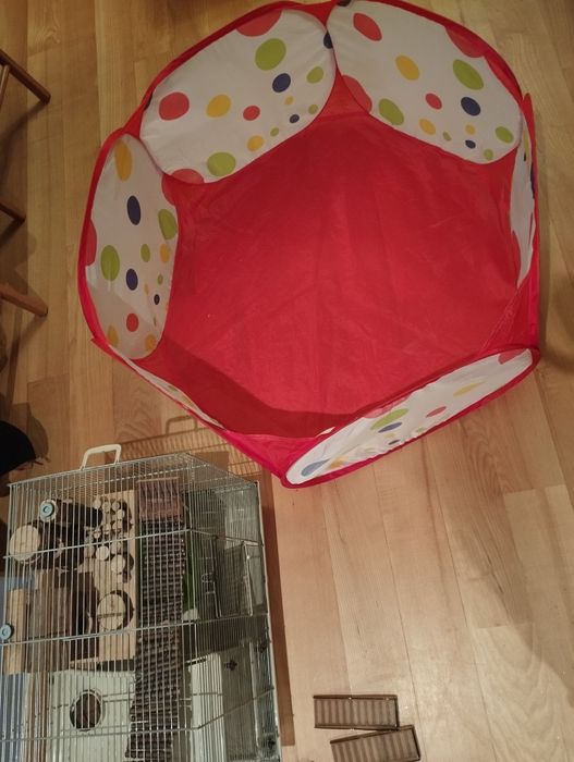 Klatka dla chomika zestaw