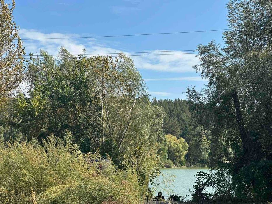 Будинок мрії для родини: озеро, ліс і свіже повітря  с.Бобриця