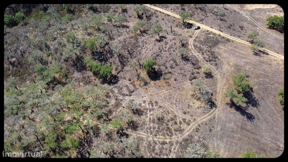 Terreno de 5,775 ha em São Francisco (próximo da Cruz de João Mende — São Francisco da Serra, Setúbal